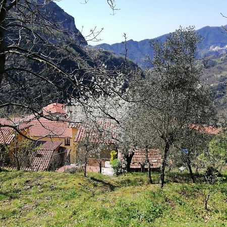 Il Metato Di Gallena Panzió Stazzema Kültér fotó