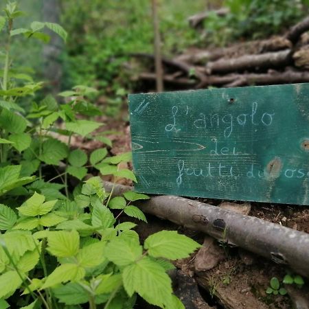Il Metato Di Gallena Panzió Stazzema Kültér fotó