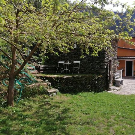 Il Metato Di Gallena Panzió Stazzema Kültér fotó