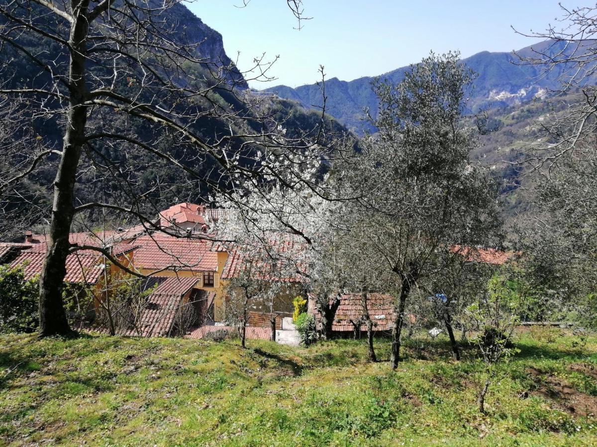 Il Metato Di Gallena Panzió Stazzema Kültér fotó
