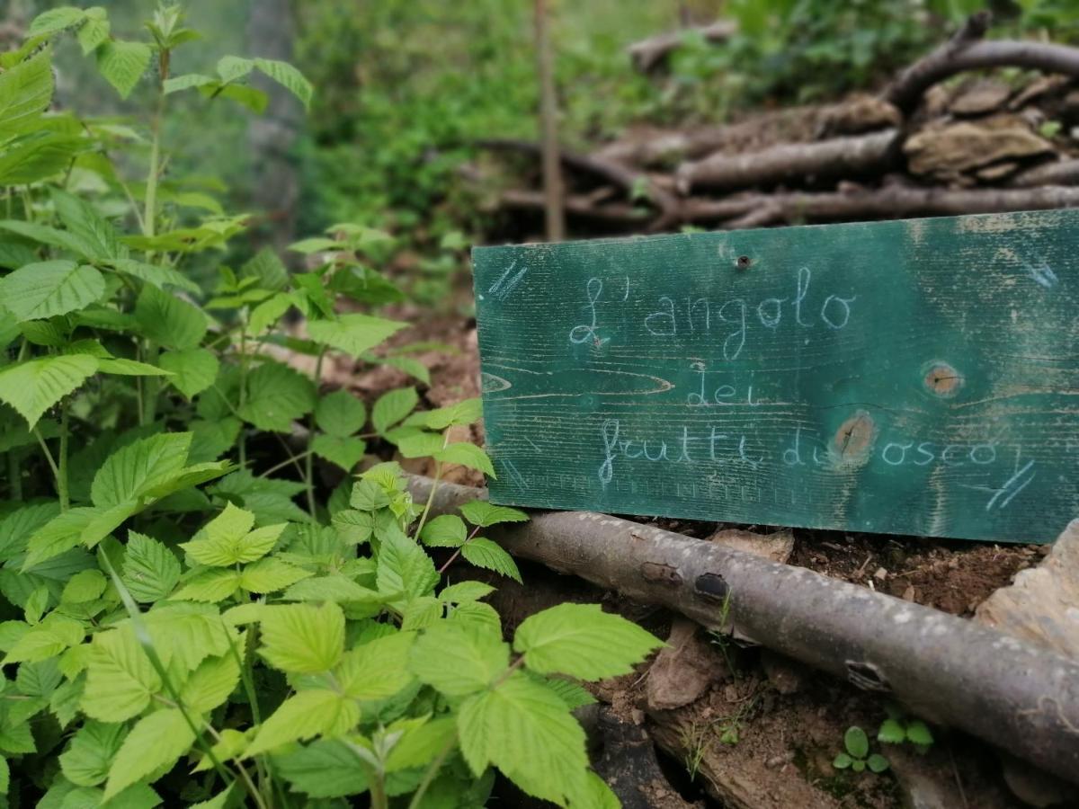 Il Metato Di Gallena Panzió Stazzema Kültér fotó