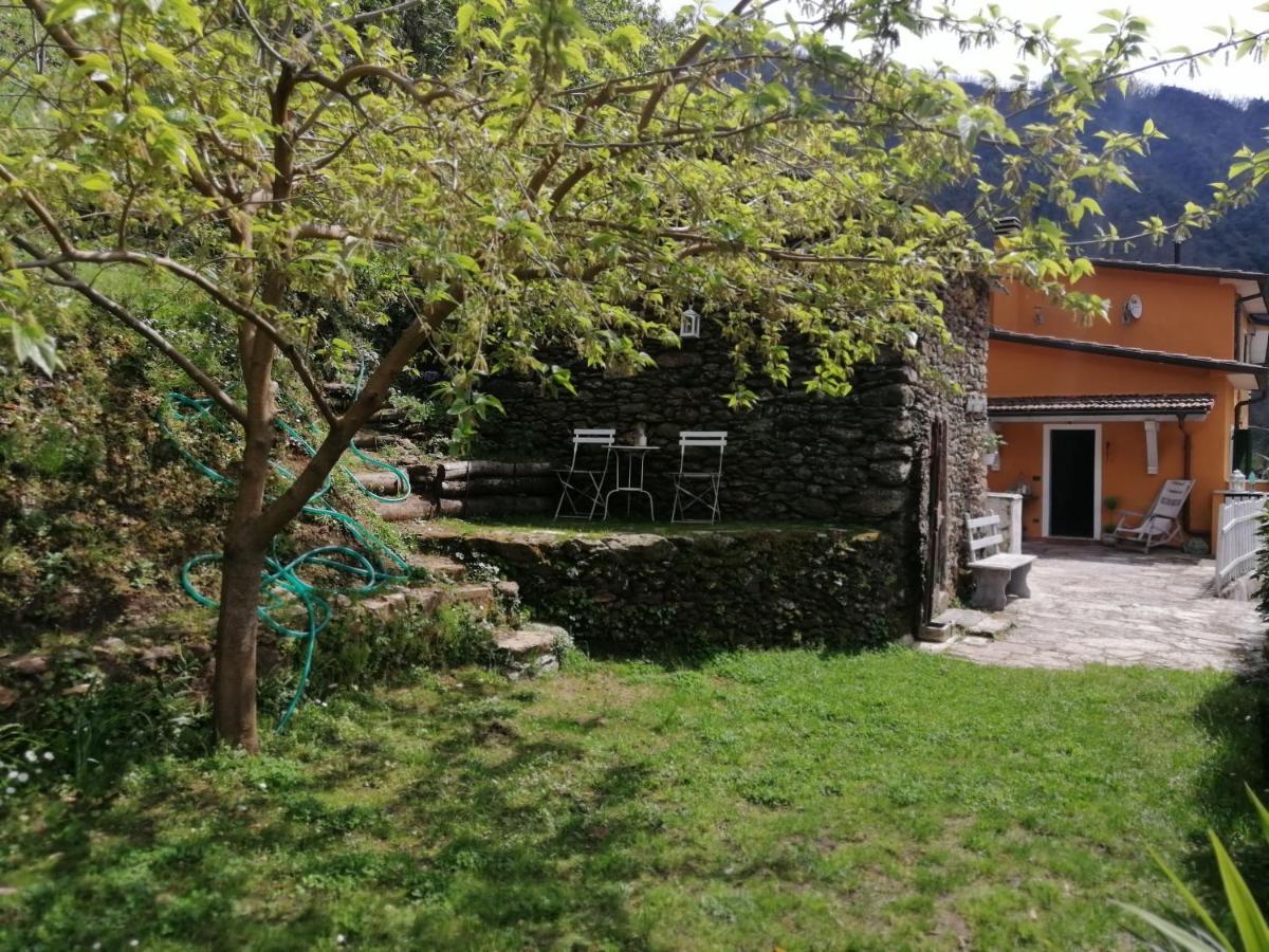 Il Metato Di Gallena Panzió Stazzema Kültér fotó