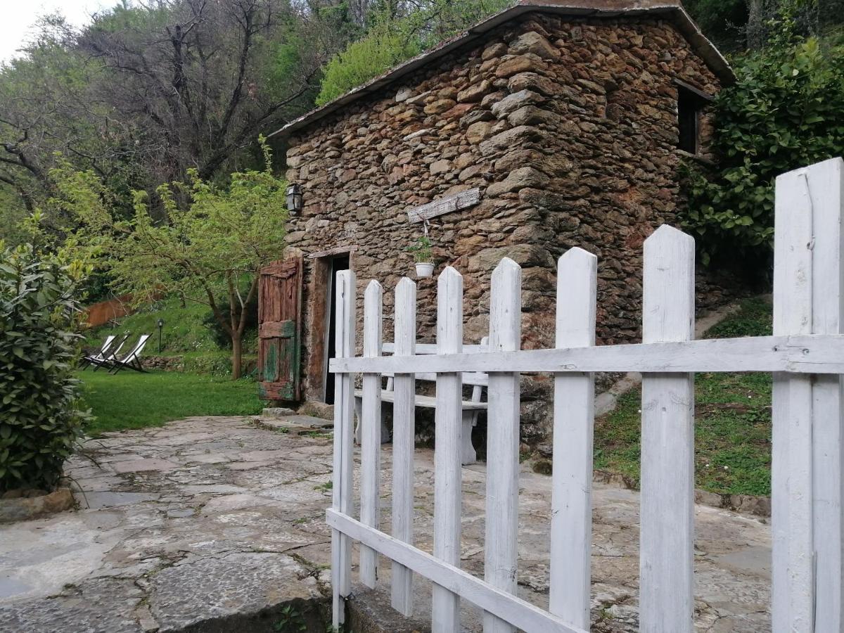 Il Metato Di Gallena Panzió Stazzema Kültér fotó