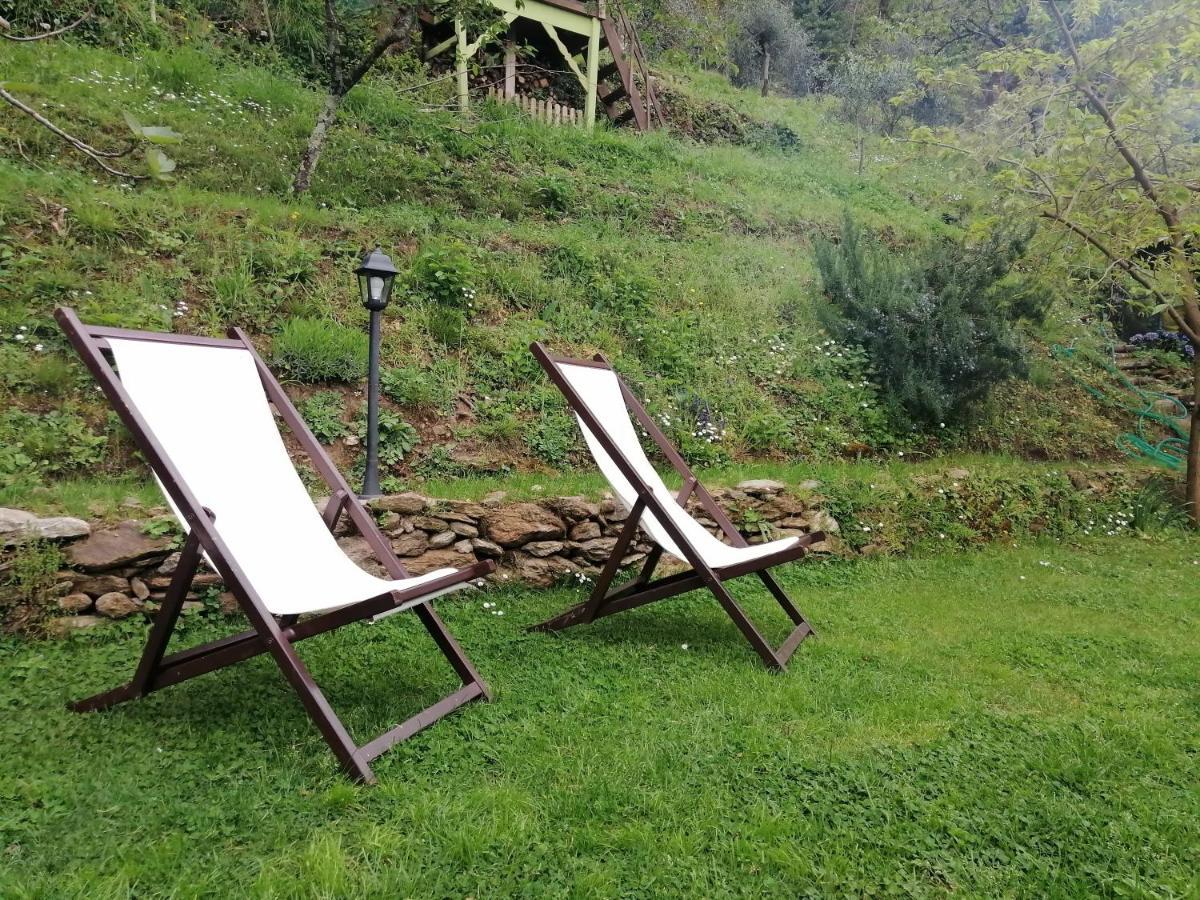 Il Metato Di Gallena Panzió Stazzema Kültér fotó