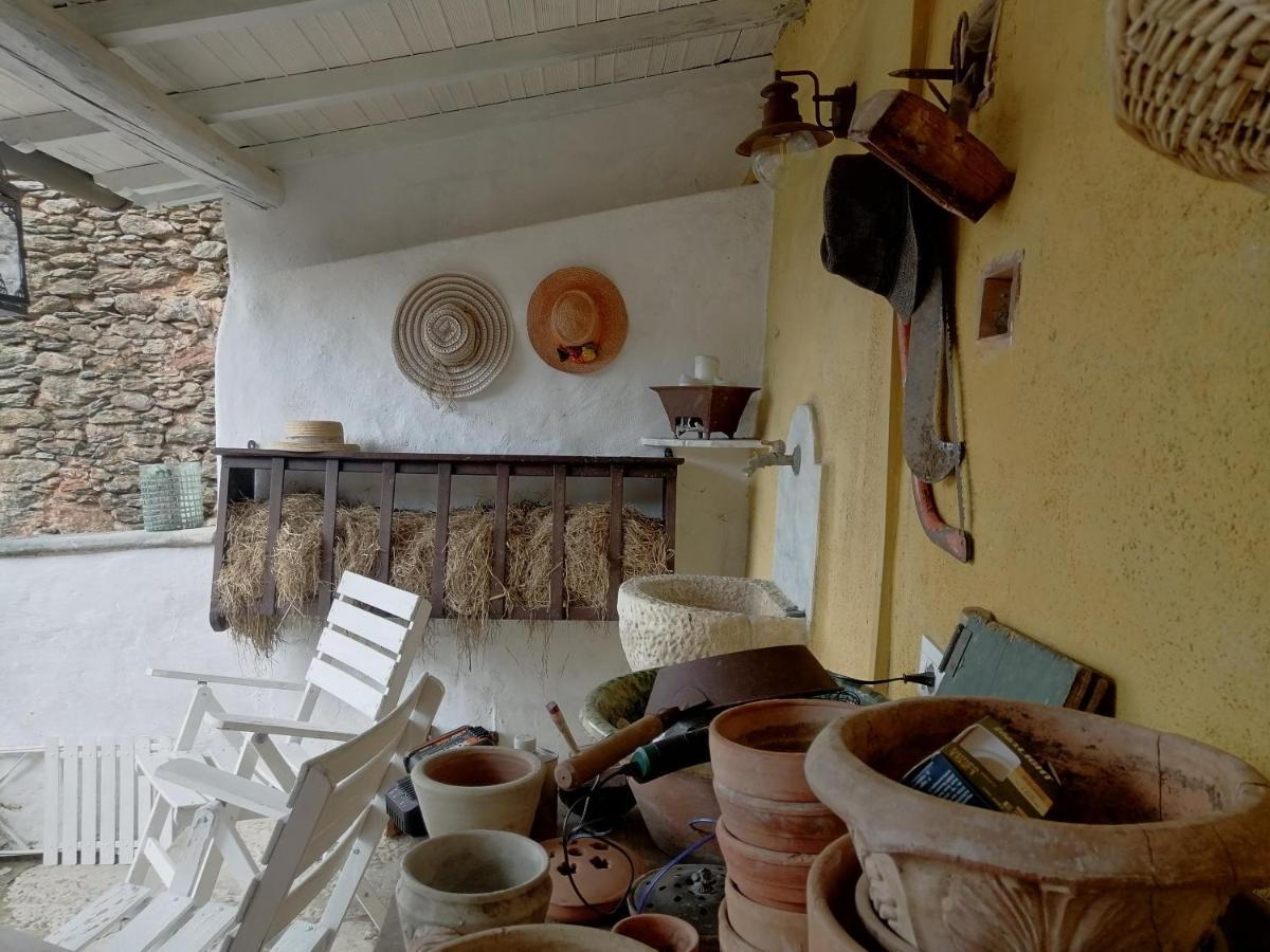 Il Metato Di Gallena Panzió Stazzema Kültér fotó
